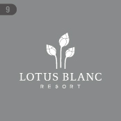 Lotus Blanc